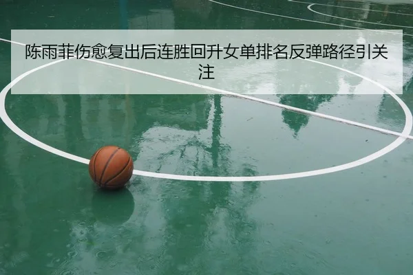 陈雨菲伤愈复出后连胜回升女单排名反弹路径引关注